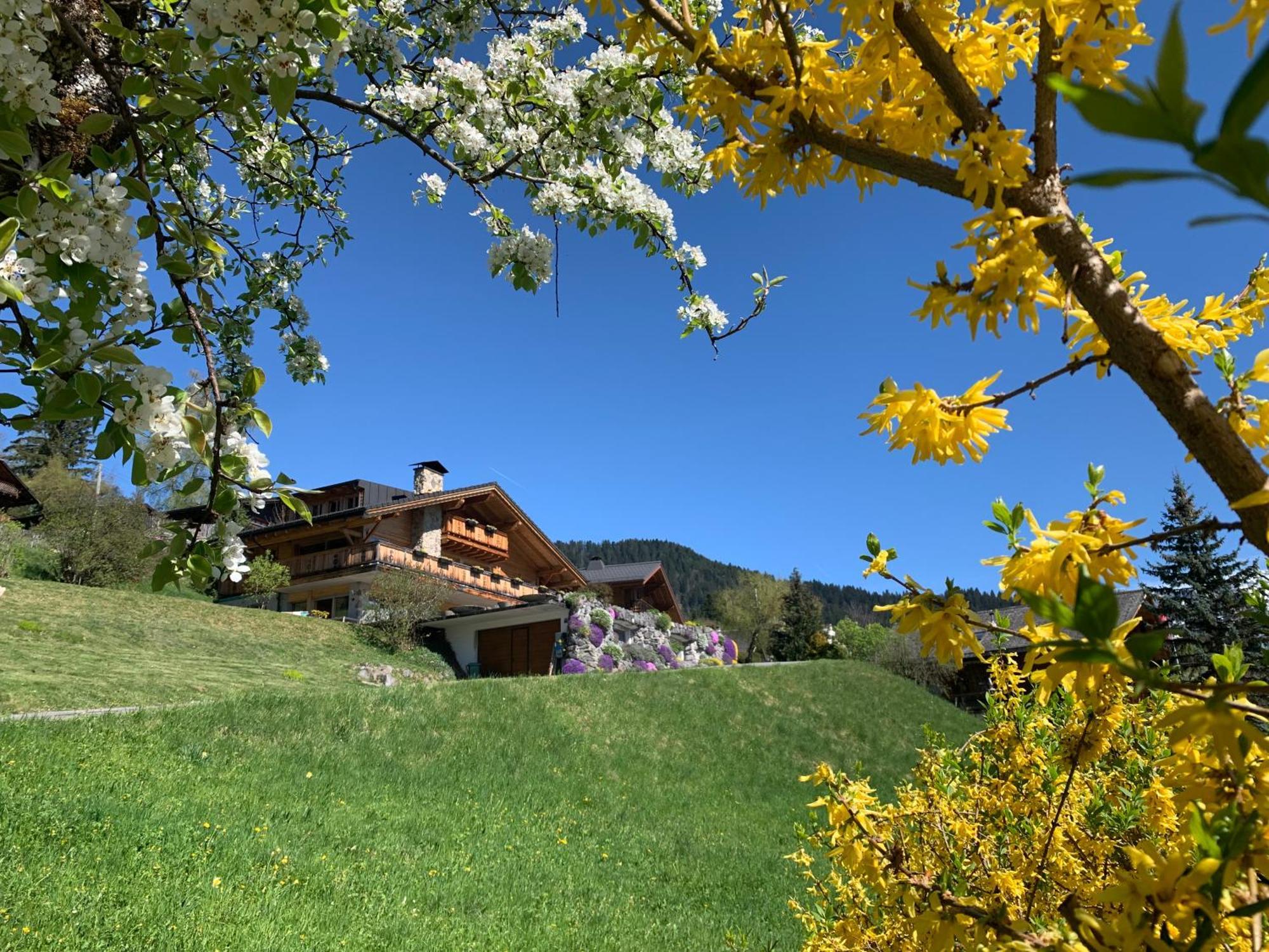 Chalet La Renarde Villars-sur-Ollon Eksteriør billede