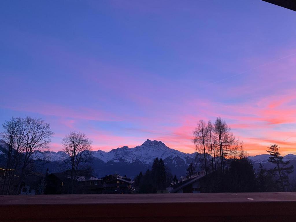 Chalet La Renarde Villars-sur-Ollon Eksteriør billede